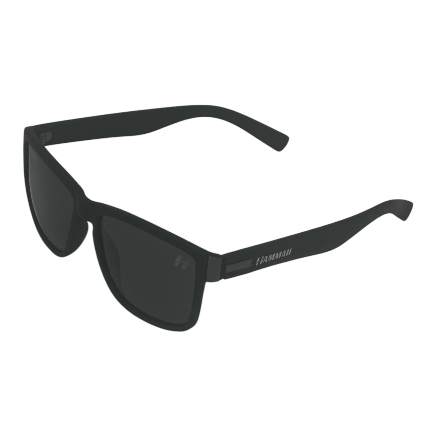 Model 3060 - Polarized